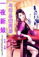 小说：魅世家族系列5：雷皓天VS心肝，作者：安缨