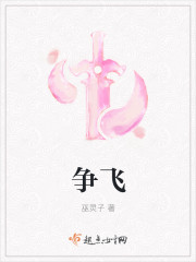 小说：争飞，作者：巫灵子