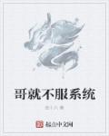 小说：哥就不服系统，作者：金十八