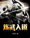 小说：炼武入道，作者：王道士