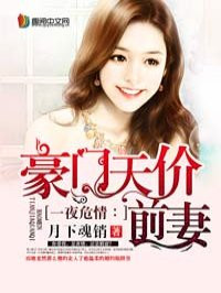 小说：一夜危情：一夜危情：豪门天价前妻，作者：月下魂销