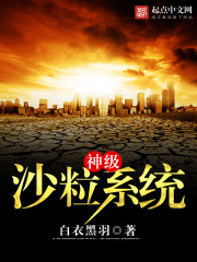 小说：神级沙粒系统，作者：白衣黑羽