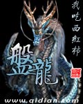 小说：盘龙，作者：我吃西红柿