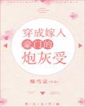 小说：穿成嫁入豪门的炮灰受，作者：酥雪京