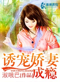小说：诱宠娇妻成瘾，作者：淑哦巴