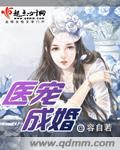 小说：医宠成婚，作者：容自若