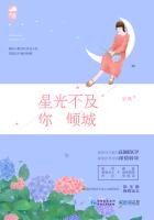小说：星光不及你倾城，作者：岁惟