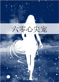 小说：六零心尖宠，作者：苏木绰