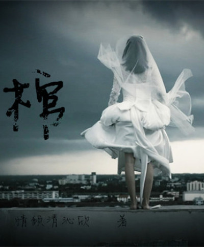 小说：棺，作者：情倾清沁欣