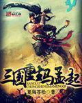 小说：三国重生马孟起，作者：夏海苍松