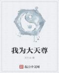 小说：我为大天尊，作者：文行远