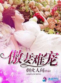 小说：傲妻难宠，作者：烟火人间