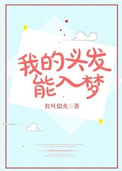 小说：我的假发能入梦，作者：红叶似火