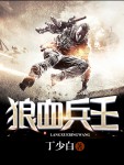 小说：狼血兵王，作者：丁少白