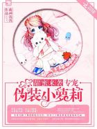 小说：甜蜜来袭，专宠伪装小萝莉！，作者：萌神浅浅