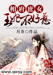 小说：相府庶女：王妃不好惹，作者：月荼