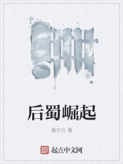 小说：后蜀崛起，作者：墨守白
