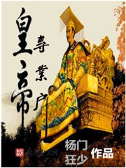 小说：皇帝专业户，作者：杨门狂少