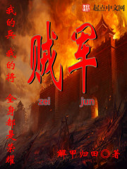 小说：贼军，作者：解甲归田