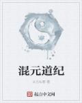 小说：混元道纪，作者：太元仙尊