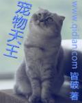 小说：宠物天王，作者：皆破
