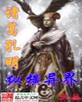 小说：诸葛孔明纵横异界，作者：天丛