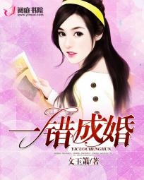 小说：一错成婚，作者：文玉箫