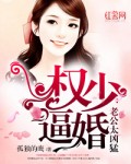 小说：权少太霸道，作者：孤独的鹰