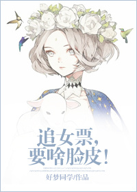 小说：追女票，要啥脸皮！，作者：好梦同学