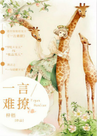 小说：一言难撩，作者：梓梧