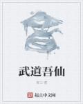 小说：武道吾仙，作者：吾卫