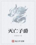 小说：灭亡子爵，作者：领域绝对