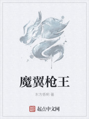 小说：魔翼枪王，作者：东方梧桐