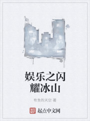 小说：娱乐之闪耀冰山，作者：有鱼的天空
