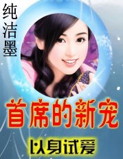 小说：以身试爱：首席的新宠，作者：纯洁墨