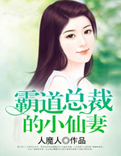 小说：霸道总裁的小仙妻，作者：人魔人