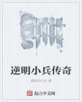 小说：逆明小兵传奇，作者：崛起的石头