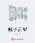 小说：贼子乱梁，作者：楛似叶