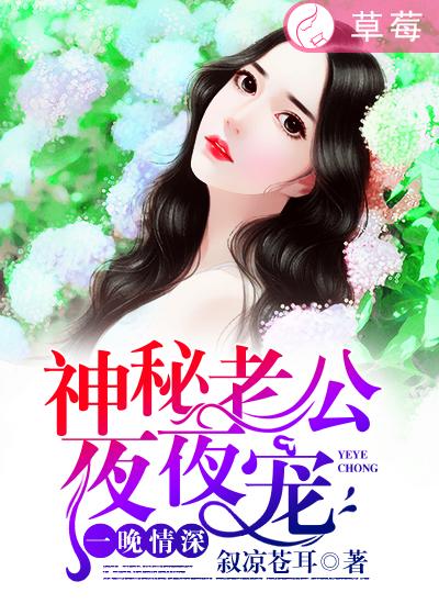 小说：一晚情深：神秘老公夜夜宠，作者：叙凉苍耳