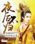 小说：夜后不归，作者：南珣夜