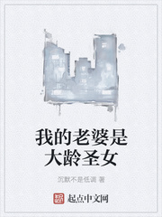 小说：我的老婆是大龄圣女，作者：沉默不是低调