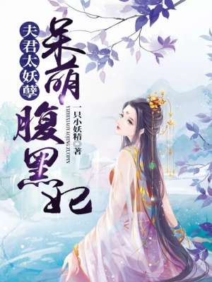 小说：夫君太妖孽：呆萌腹黑妃，作者：一只小妖精
