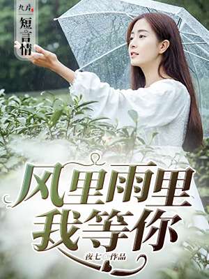 小说：风里雨里我等你，作者：夜七