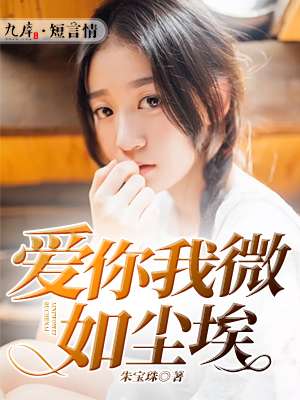 小说：爱你我微如尘埃，作者：朱宝珠