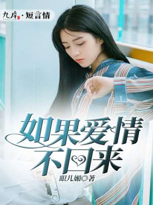 小说：如果爱情不回来，作者：眼儿媚