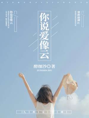 小说：你说爱像云，作者：醉细沙