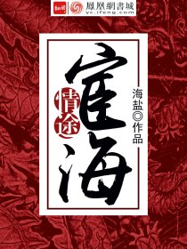小说：宦海情途，作者：海盐6