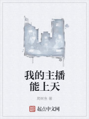 小说：我的主播能上天，作者：爬树鱼