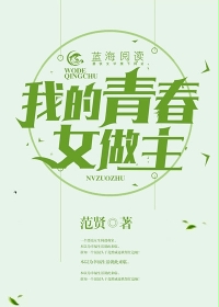 小说：我的青春女做主，作者：范贤
