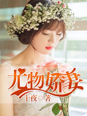 小说：尤物娇妻，作者：十夜